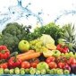 Các tiêu chí chợ an toàn thực phẩm