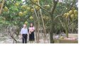 NỒNG NÀN HƯƠNG BƯỞI GỌI TẾT VỀ