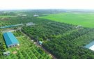 HUYỆN THỌ XUÂN: PHÁT TRIỂN HẠ TẦNG CÁC KHU SẢN XUẤT NÔNG NGHIỆP TẬP TRUNG