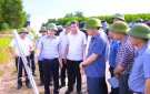 HUYỆN THỌ XUÂN SAU HƠN 3 NĂM THỰC HIỆN NGHỊ QUYẾT ĐẠI HỘI ĐẢNG CÁC CẤP, NHIỆM KỲ 2020 - 2025