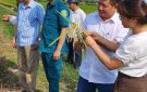 THĂM ĐỒNG ĐÁNH GIÁ NĂNG SUẤT CÂY TRỒNG VỤ CHIÊM XUÂN NĂM 2024