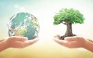 Bài tuyên truyền ngày môi trường thế giới năm 2024