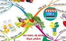 Nâng cao nhận thức về vệ sinh an toàn thực phẩm trong giai đoạn hiện nay