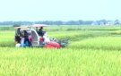 HUYỆN THỌ XUÂN: KHỞI SẮC TRONG BỨC TRANH KINH TẾ 6 THÁNG ĐẦU NĂM 2024