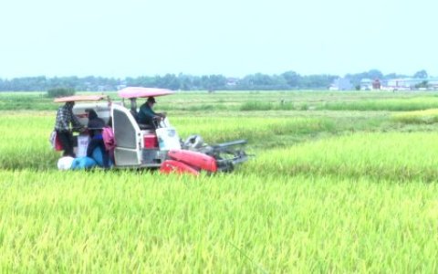 HUYỆN THỌ XUÂN: KHỞI SẮC TRONG BỨC TRANH KINH TẾ 6 THÁNG ĐẦU NĂM 2024
